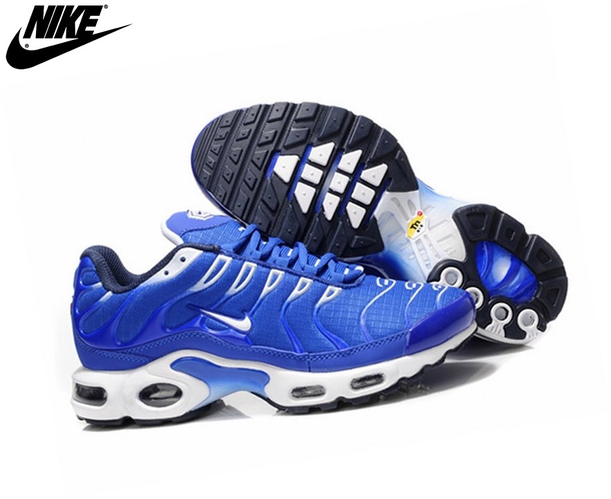 Air Max Tn Bleu Blanc